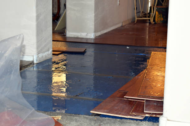 Professional Crawl Space Water Removal technician working in Bailey, CO